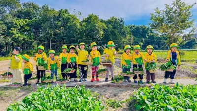 HỌC SINH KHỐI MONTESSORI TRƯỜNG MẦM NON KA LONG TRẢI NGHIỆM THU HOẠCH RAU TẠI VƯỜN RAU HẢI HÒA
