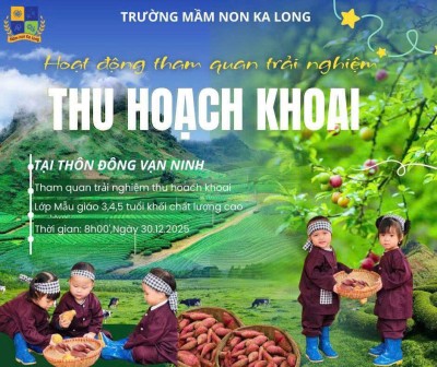HOẠT ĐỘNG TRẢI NGHIỆM – THU HOẠCH KHOAI TẠI VẠN NINH