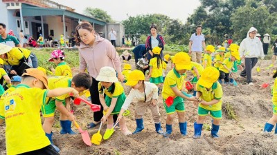 HOẠT ĐỘNG TRẢI NGHIỆM THU HOẠCH CÀ CHUA VÀ DƯA CHUỘT TẠI HẢI HOÀ