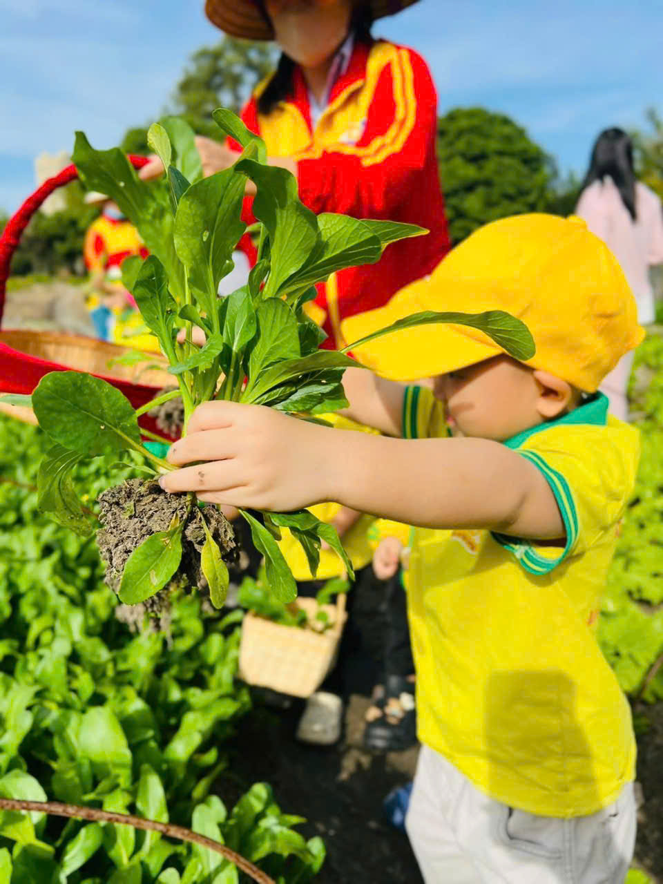 z7292115655981 a17d2702bca8ec90497fcb6fd820241c