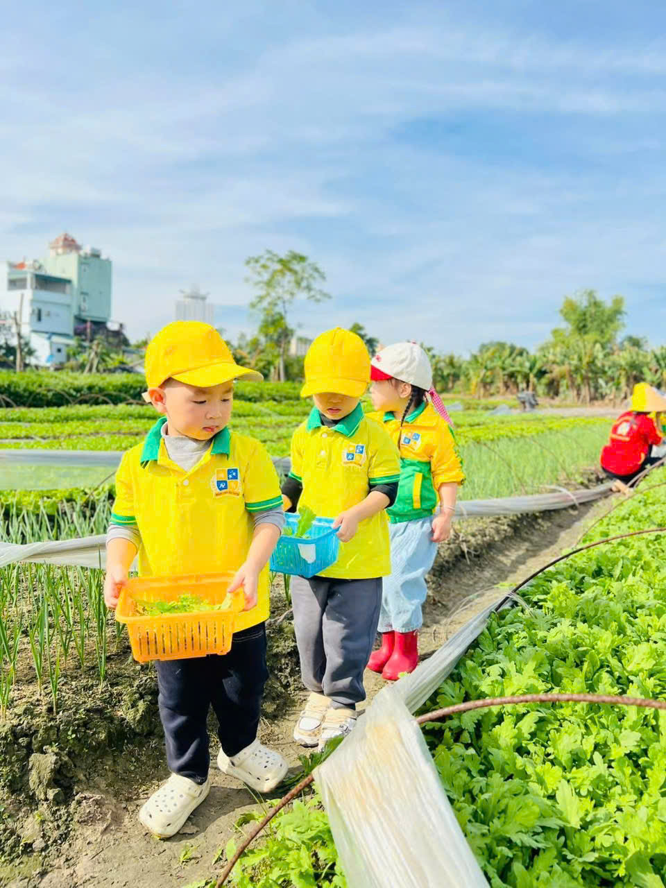 z7292115667488 cddcfa4da6c35bdd0fdbeb5183e712af