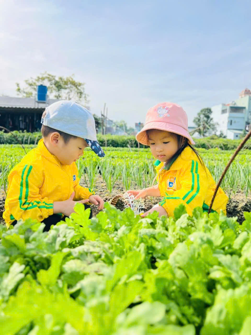 z7292115679990 c71850c810a1d517a035b61a8dd12377