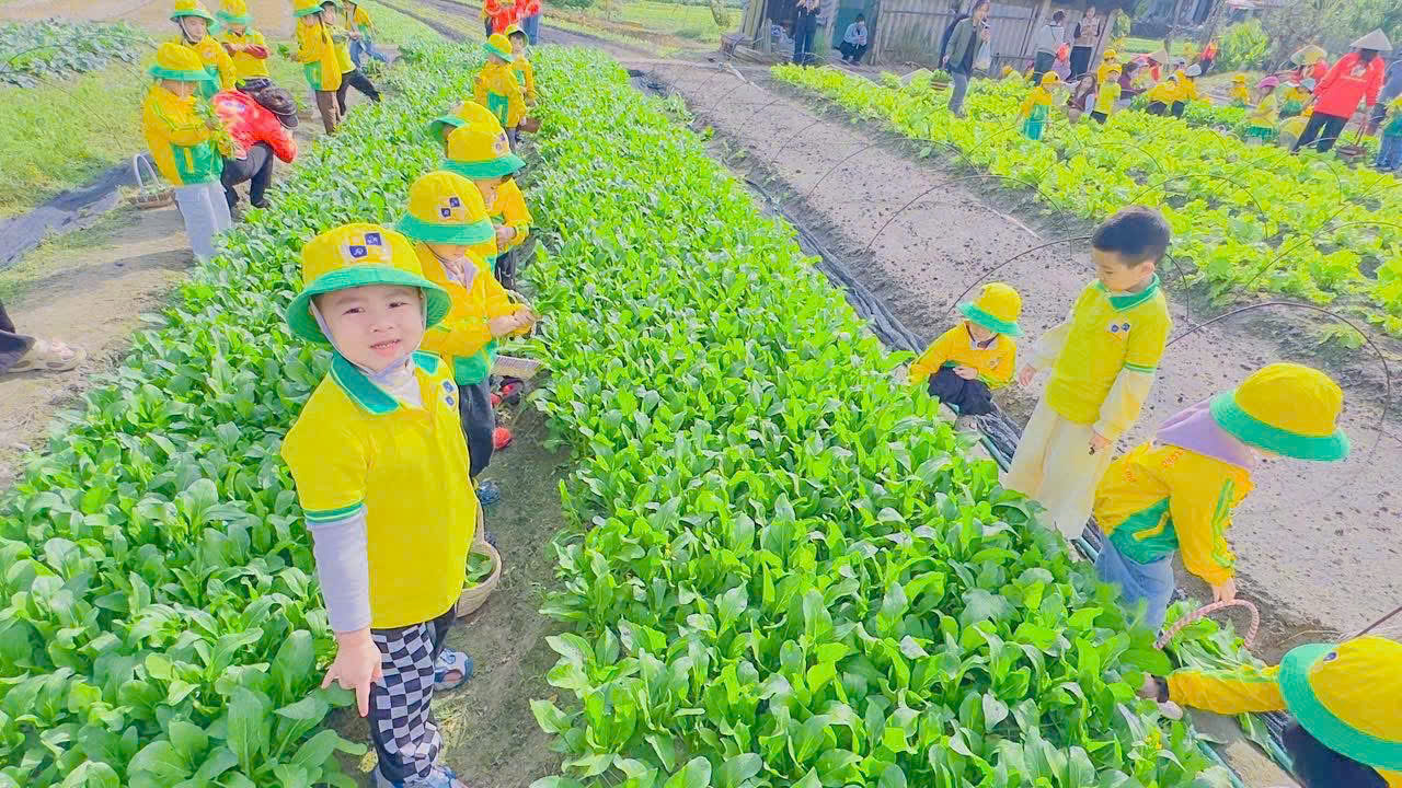 z7292115704254 d526610289e24b0bb0e9e861ccb1bb84