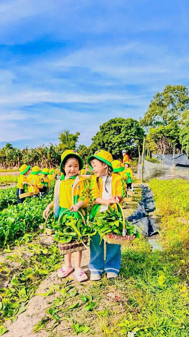 z7292115707810 0ec67e22e70d287f333b8ae6a722ceba