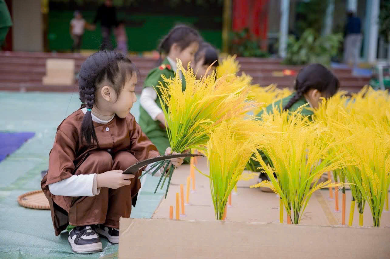 z7469241594236 9dcf142de3e047d93115fb1ffc3a329f