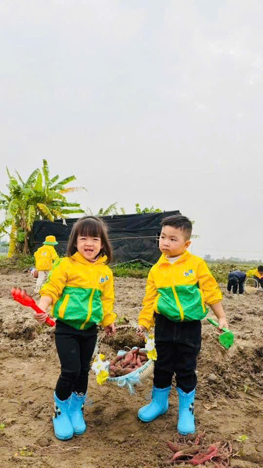 z7469341856570 5c1150958335ec75283bd9634078d112