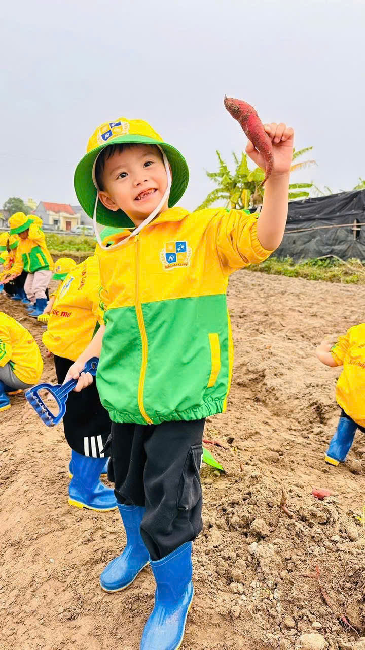 z7469341911231 3cf17eeca127c612e7a2355fcc667543