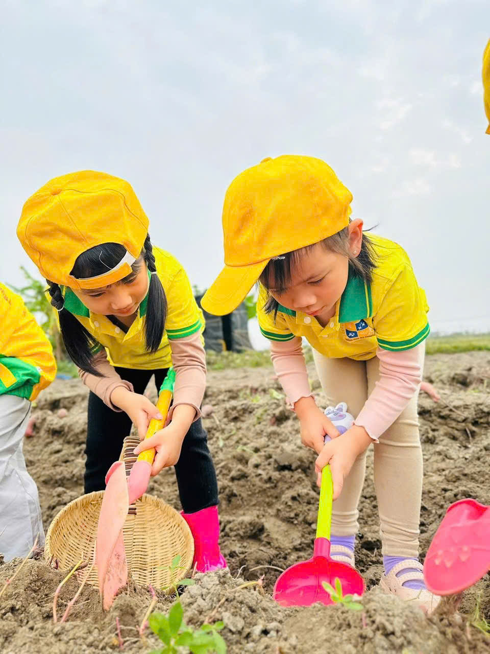 z7469341921519 50f74efd4ef2dae8b1c0d8490d30aa39