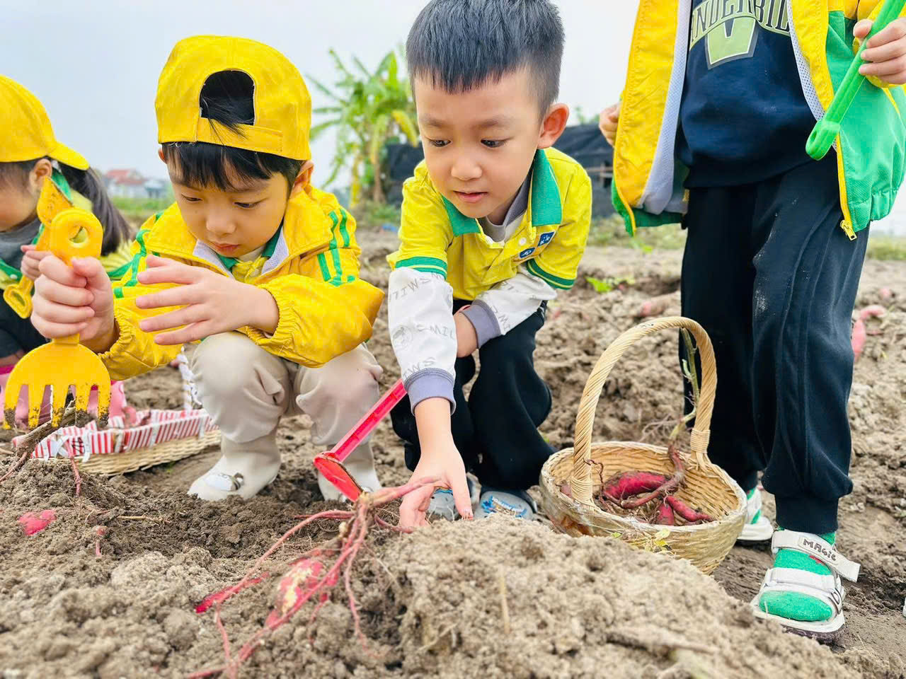 z7469341933924 6ec001b8e75e399095a9e77ecae97d21