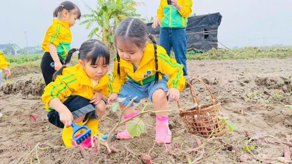 z7469341939051 b846d81b6d245bb4eaffb2b3452f167a