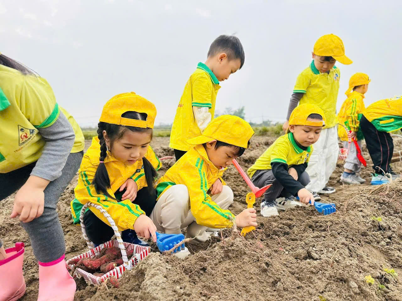 z7469341949581 06cf9570aecfa4872a454263ed367ab9