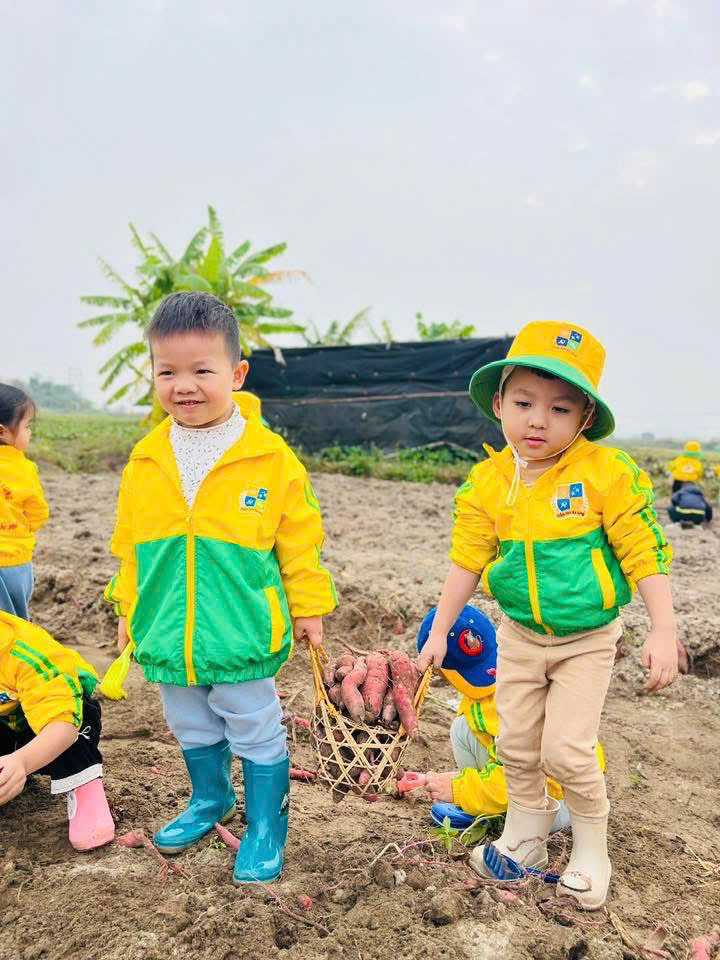 z7469341967019 101a0d6973813312b6502f80ebf9da02