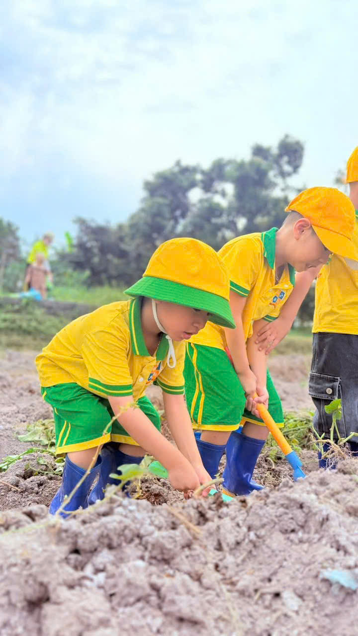 z7695598619367 bd54ac2f8979e6c82d020fd8f1b4eda8