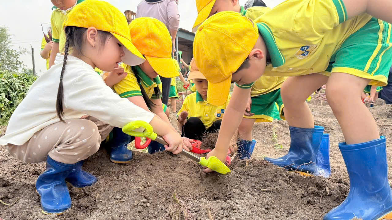 z7695598651477 5ca471ae68e4fe8bd685cb982789ba9e