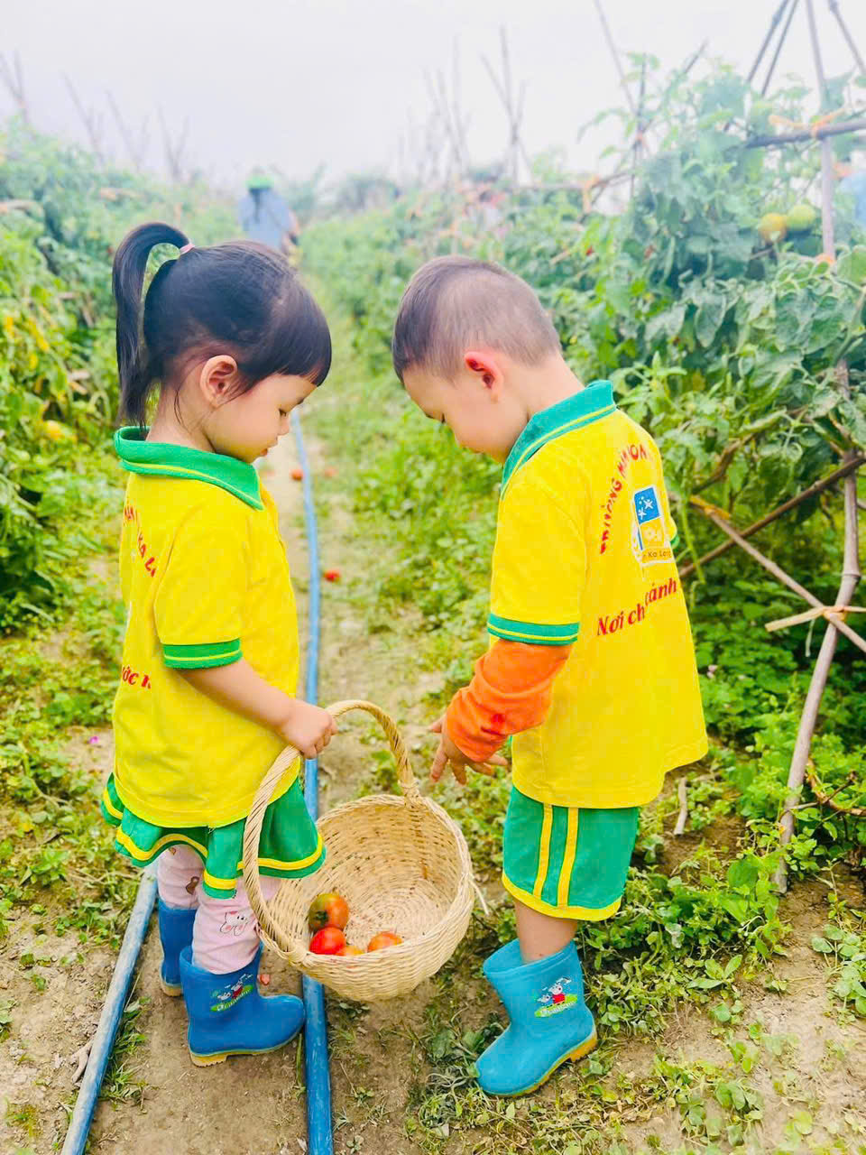 z7695629503577 e505595396c03588230a6569d948cb6b