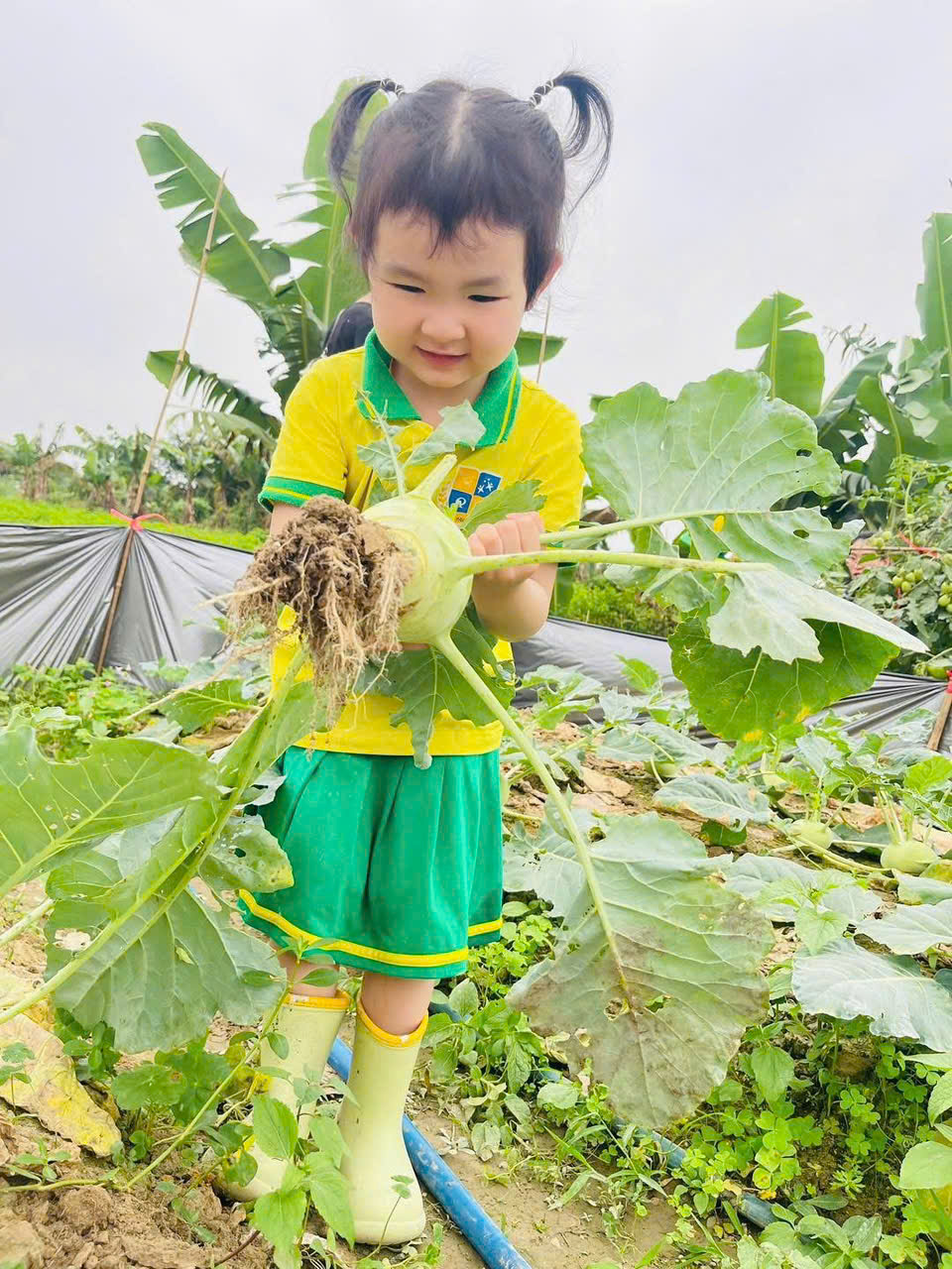 z7695629535792 9e6ce8ac81530c9a7a139b88babfabae