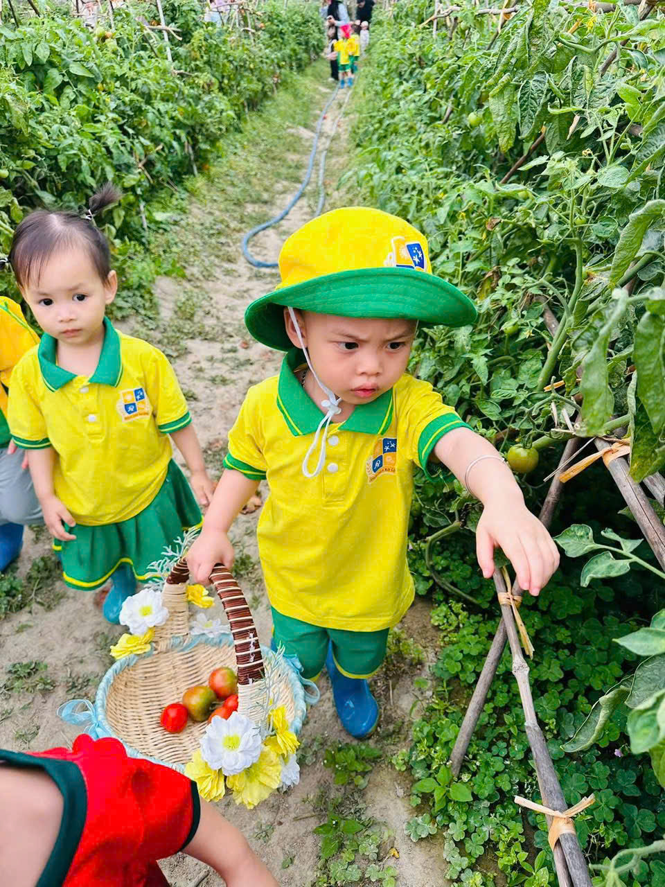 z7695629542930 4669b97fd2e81e77f8b989640223cd68