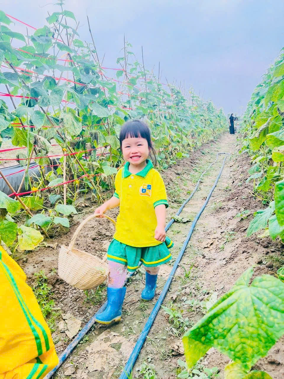 z7695629543390 91a581c46a7ea56be43eb5ea08ee69ee