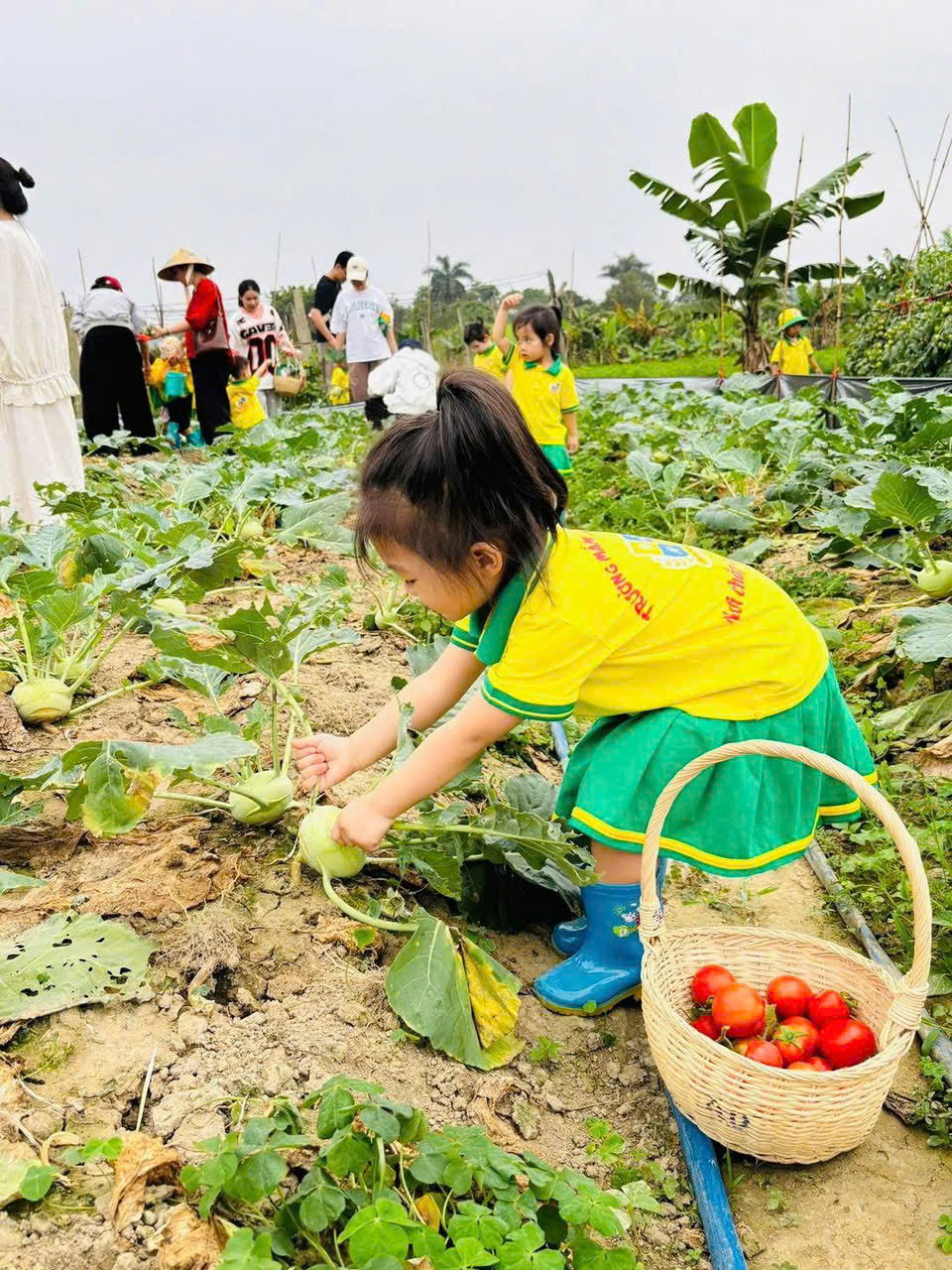 z7695629562935 6ebe3dddbc9a28024ce084503646abeb